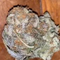 SneakySmoker